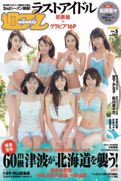 假扮女佣 2012版电视剧